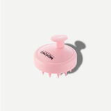 Scalp Brush