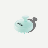 Scalp Brush