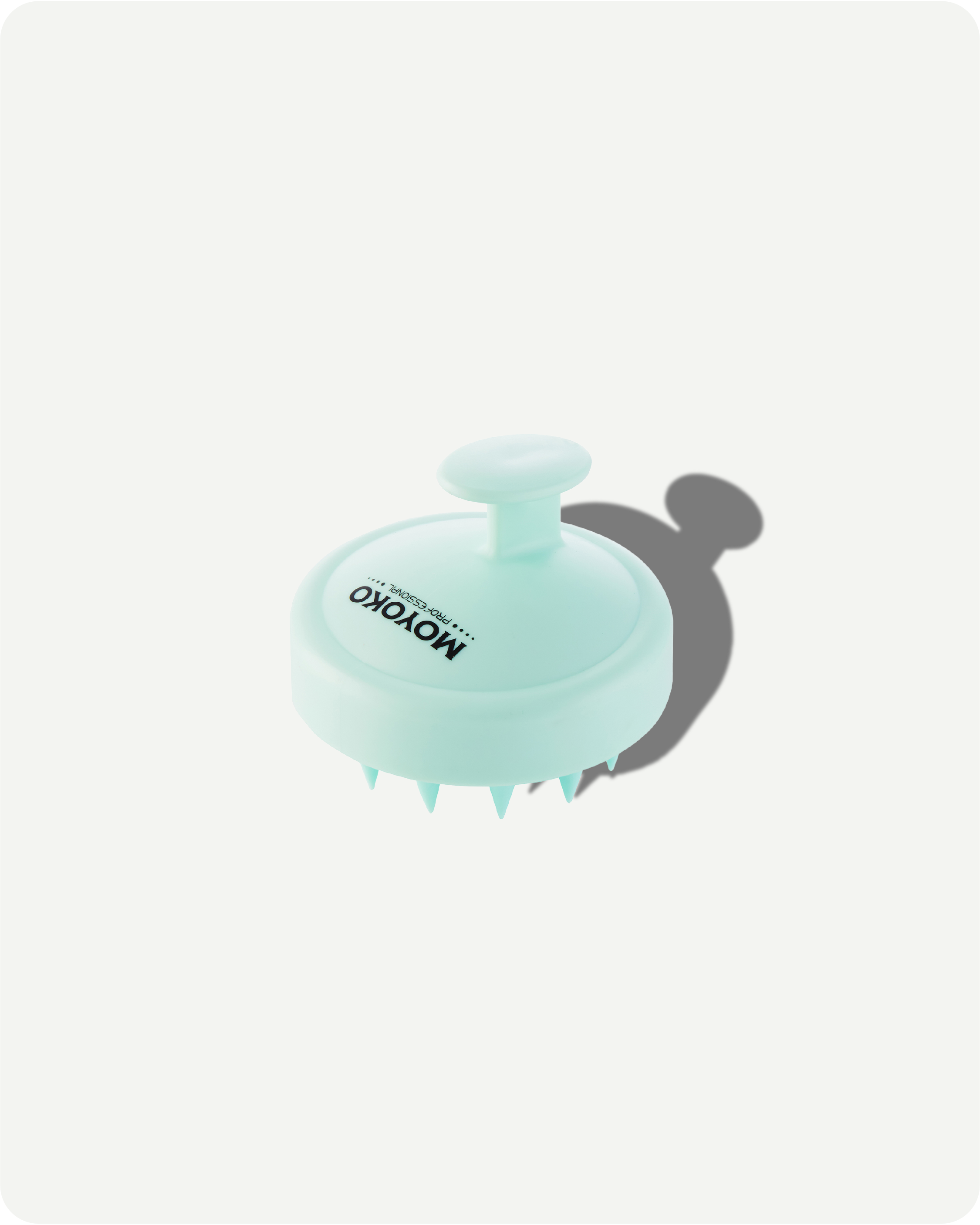 Scalp Brush