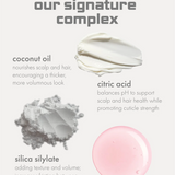 Text and images of coconut oil, citric acid, and silica silylate with descriptions on a light gray background.